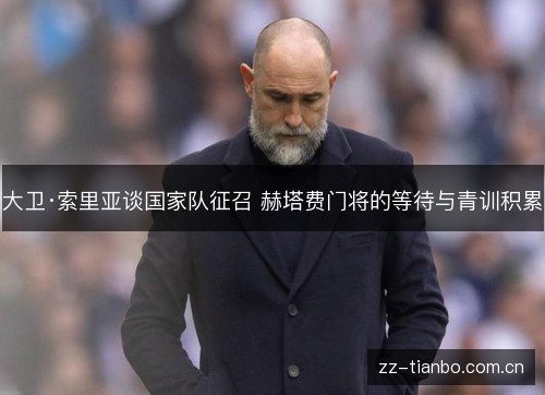 大卫·索里亚谈国家队征召 赫塔费门将的等待与青训积累 大卫·索里亚谈国家队征召 赫塔费门将的等待与青训积累